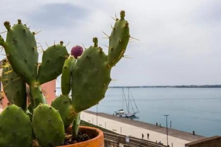 b&b Porta Marina Ortigia - 75