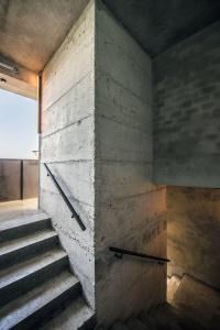 Kook Tarifa - 10