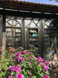 La Gallina Felice b&b - 6