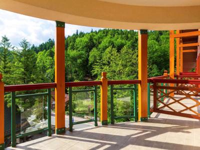 Mercure Krynica Zdrój Resort&Spa - 7