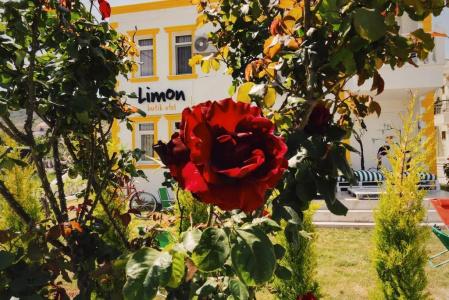 Limon Pansiyon - 0
