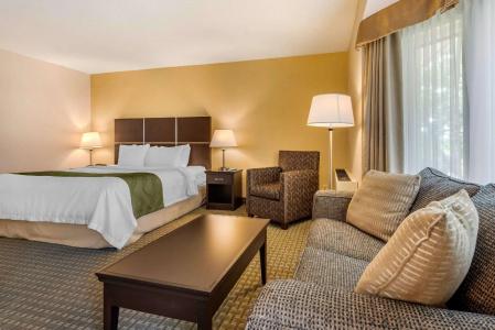 Quality Inn & Suites - 52