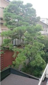 Kinsui Annex - 15