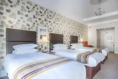Queens & Spa - 57