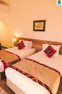 Seti Abu Simbel Lake Resort - 31