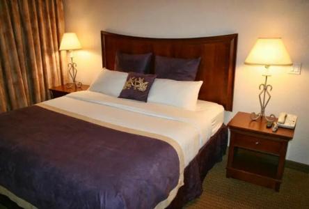 Arbor Inn and Suites - 50