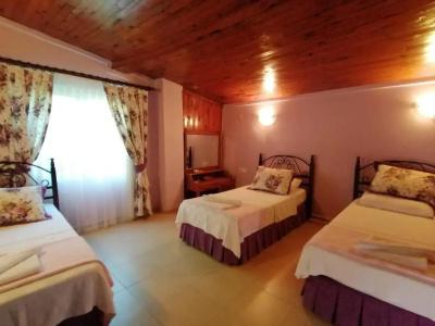 Maviev Otel - 22