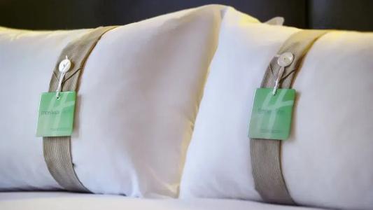Holiday Inn Paris Gare De Lyon Bastille, An Ihg - 96