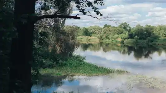Серебряные ключи - 19
