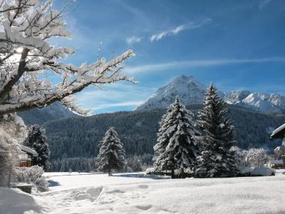 Typically Swiss Altana - 16