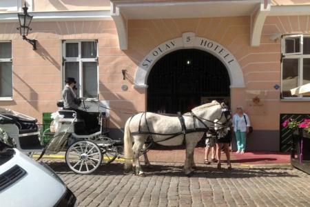 St.Olav - 16