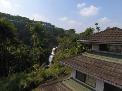 The Inn at Kulaniapia Falls - 17