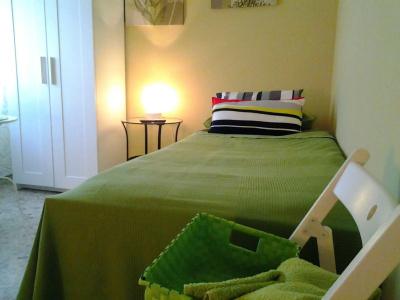 b&b Pisaland - 1