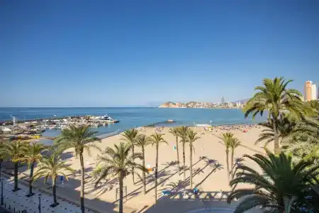 Colón - 14