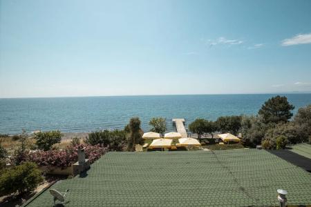 Limonata Assos - 51
