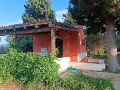 Agriturismo Cefalà - 91