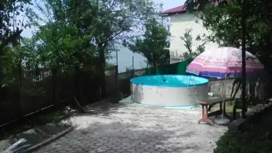 Sarpi In - 14