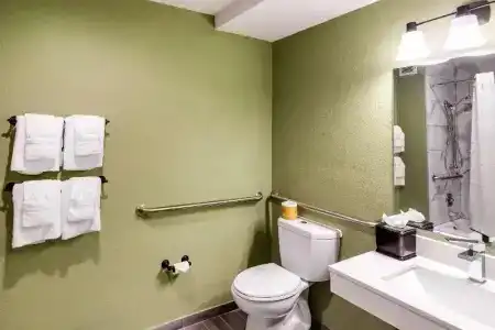 Quality Inn & Suites - 57