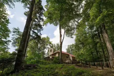 ApartSnjezna Kraljica - 17