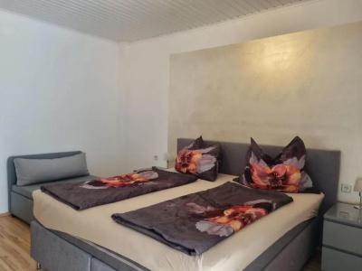 Pension Waldesruh - 32