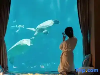 Dali Manju Ocean - 53