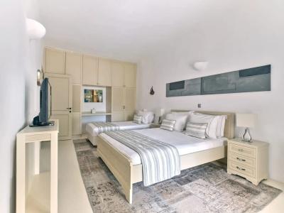 Naoussa Hills Boutique Resort- Adults Only (13+) - 298