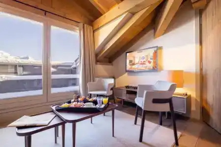 Les Suites de la Potinière - 88