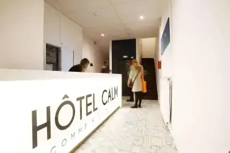Hôtel Calm Lille - 14