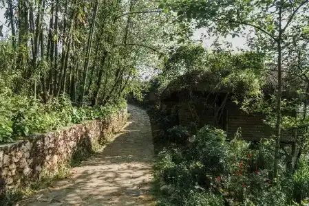 Sapa Jade Hill Resort & Spa - 76