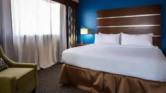 Holiday Inn Houston Downtown, An Ihg - 59
