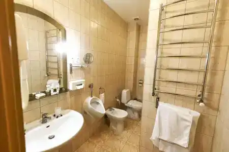 Золото Карпат - 42