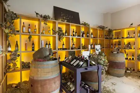 Roma Beach Resort & SPA - 38