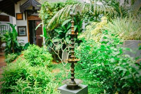 Waterland - 8