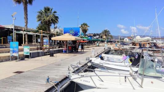 The Summer House - 12