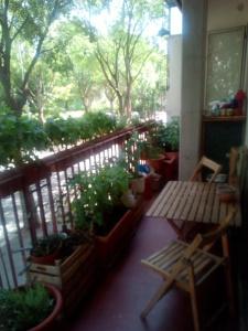 b&b Acquario - 19