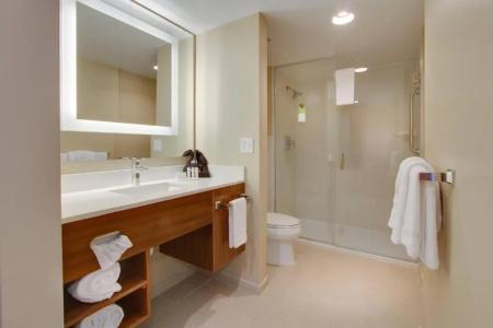 SpringHill Suites by Marriott Orlando Lake Buena Vista South - 24