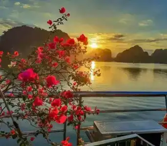 Thaí Baỏ - 9