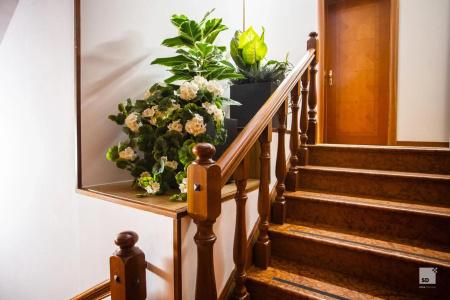 Blumen - 15