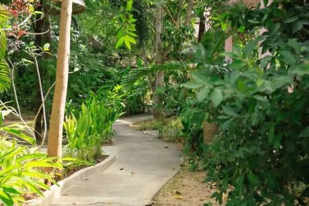 Bird of Paradise Bungalows - 23