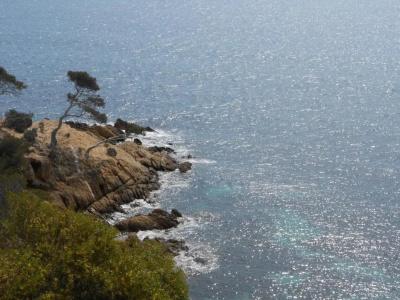 Sowells Saint Tropez - 11