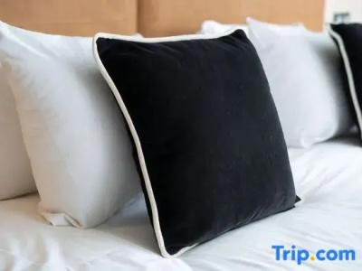 Mercure Antwerp City Centre - 146