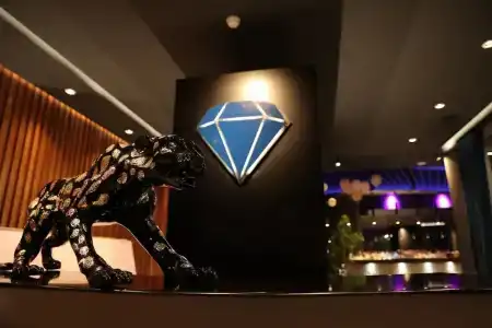 Diamond Hill Resort & Spa - 24