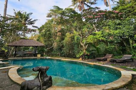 Ubud Sari Health Resort - 24