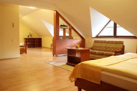 Wellness Rezidence Ambra - 14