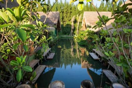 Asita Eco Resort - 43