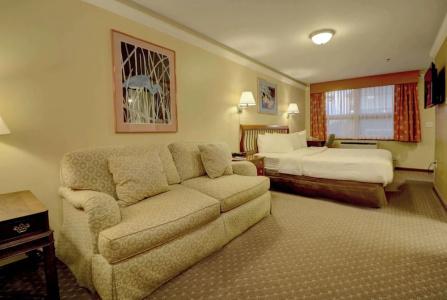 Senator Inn & Spa - 47