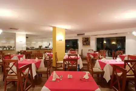 Falcon Naama Star - 26
