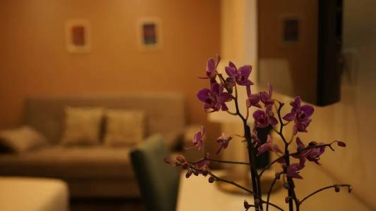 Palazzo Cappuccini Art Relais - 66