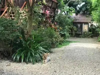 Baan Songjum - 57