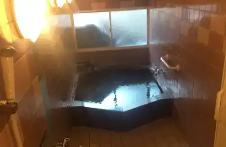 Ryokan Meiryu - 9
